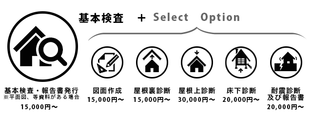 基本検査+Select　Option